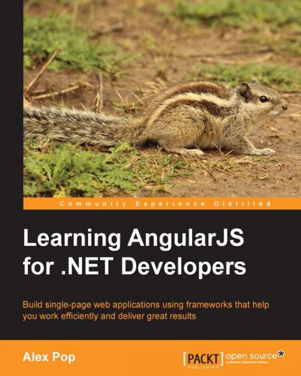 Big bigCover of Learning AngularJS for .NET Developers