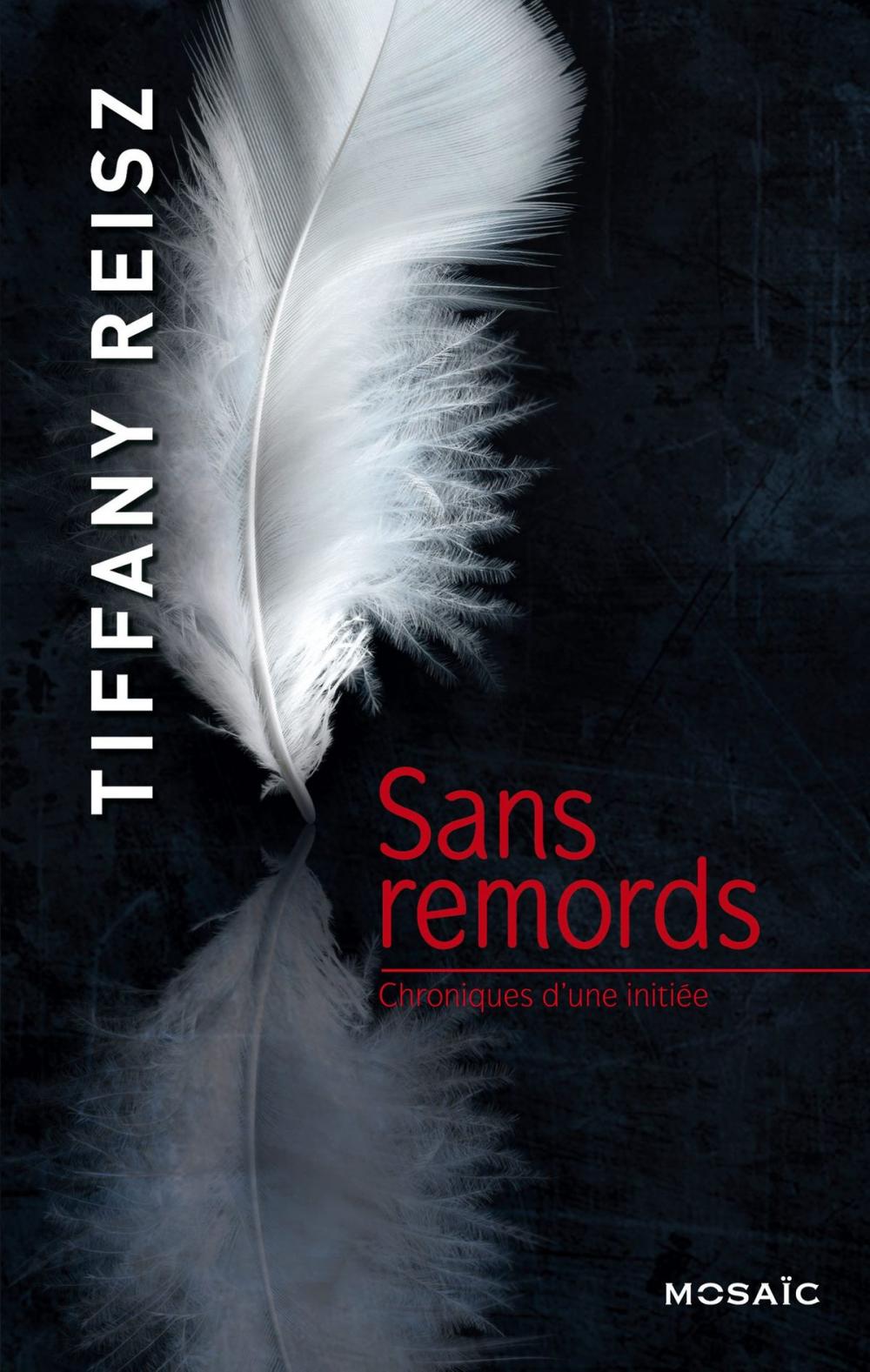 Big bigCover of Sans remords