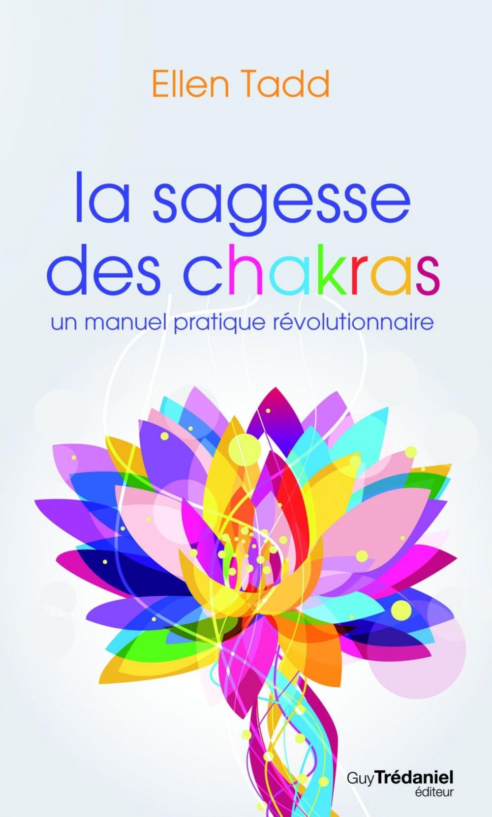 Big bigCover of La sagesse des chakras : Un manuel pratique révolutionnaire