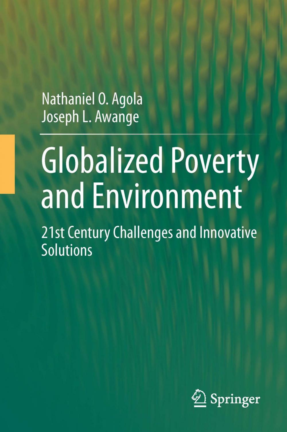 Big bigCover of Globalized Poverty and Environment