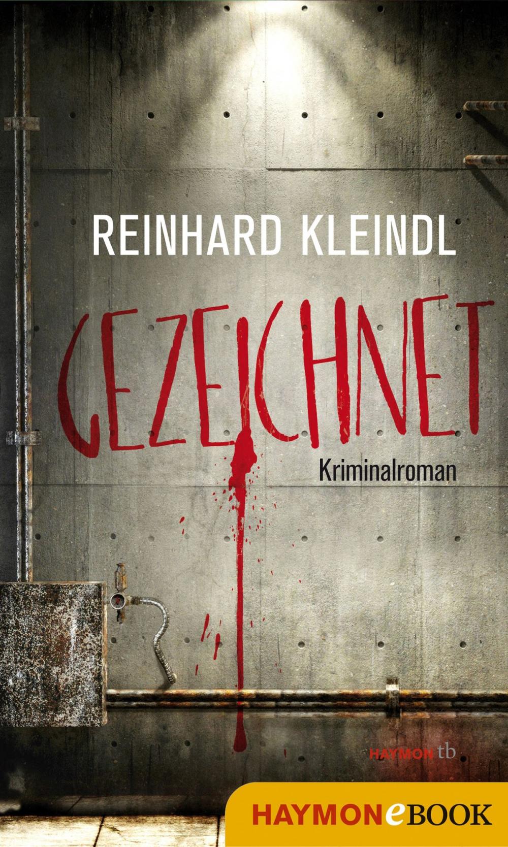 Big bigCover of Gezeichnet