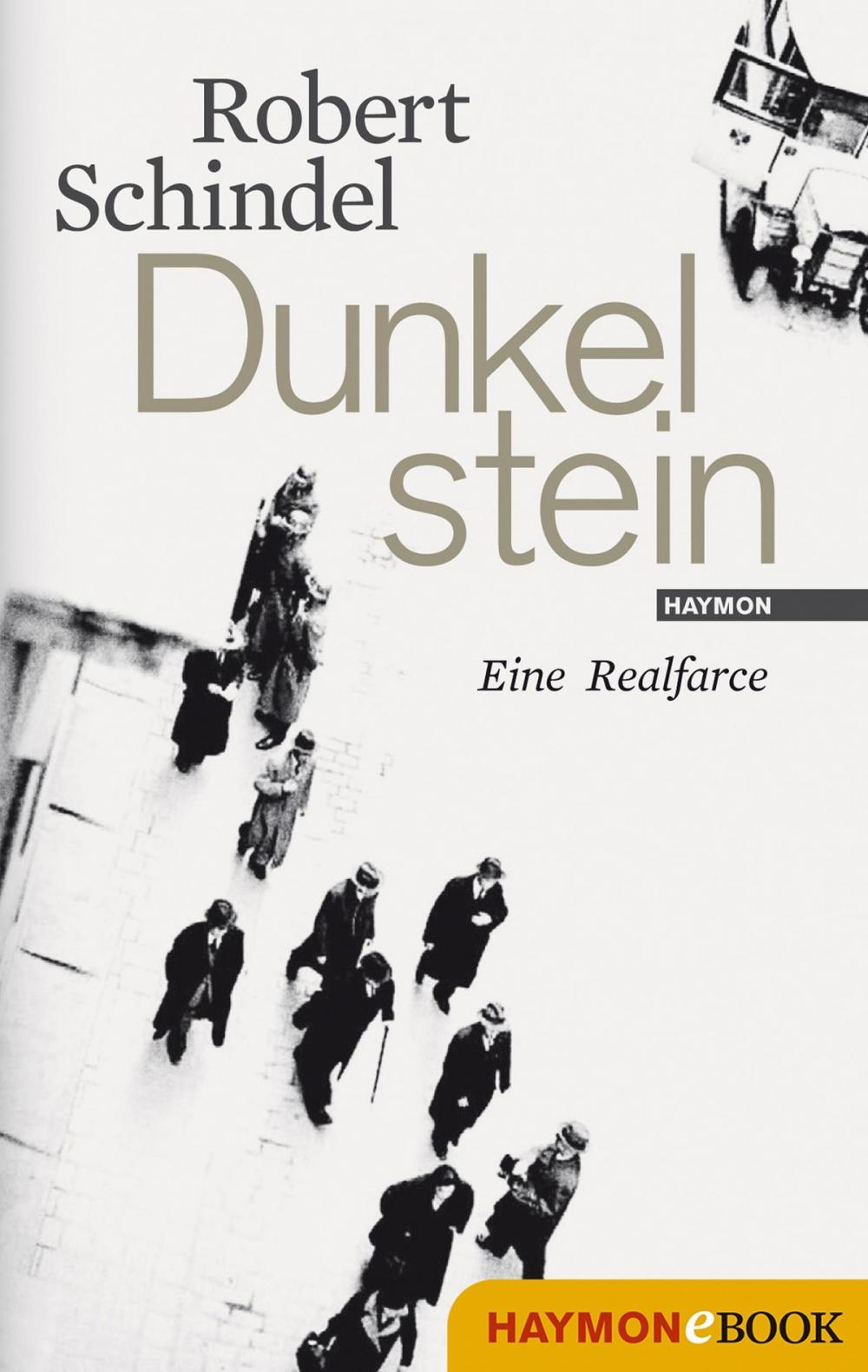 Big bigCover of Dunkelstein