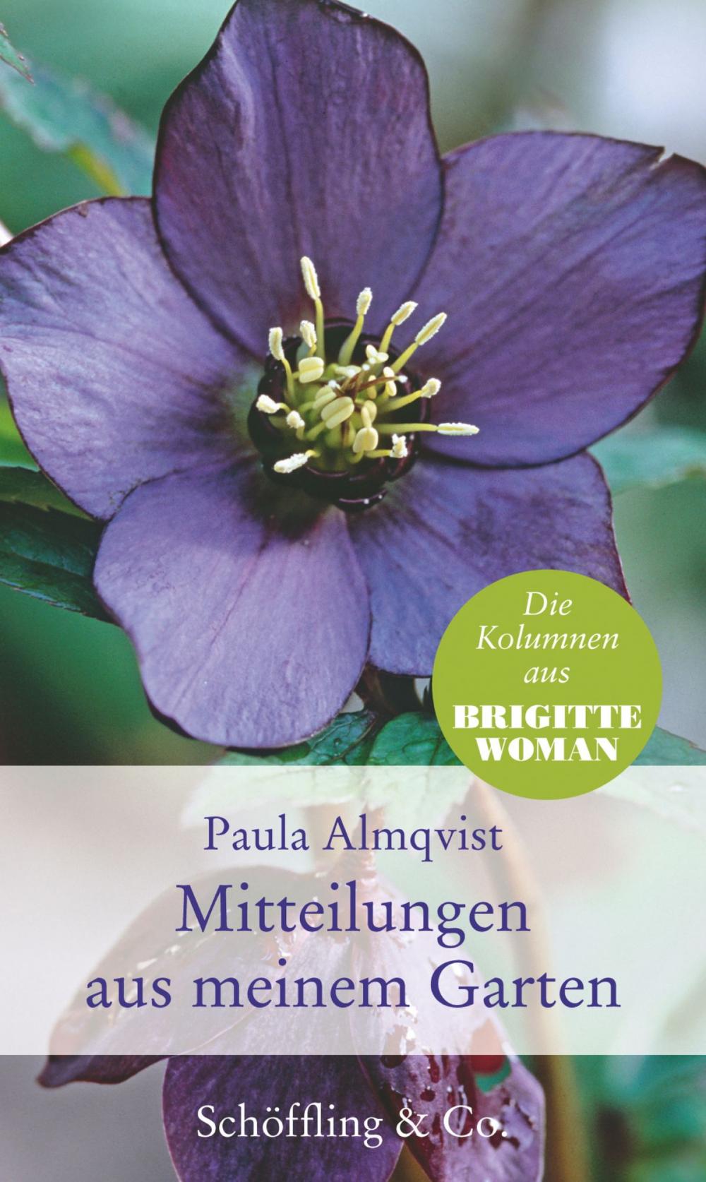 Big bigCover of Mitteilungen aus meinem Garten