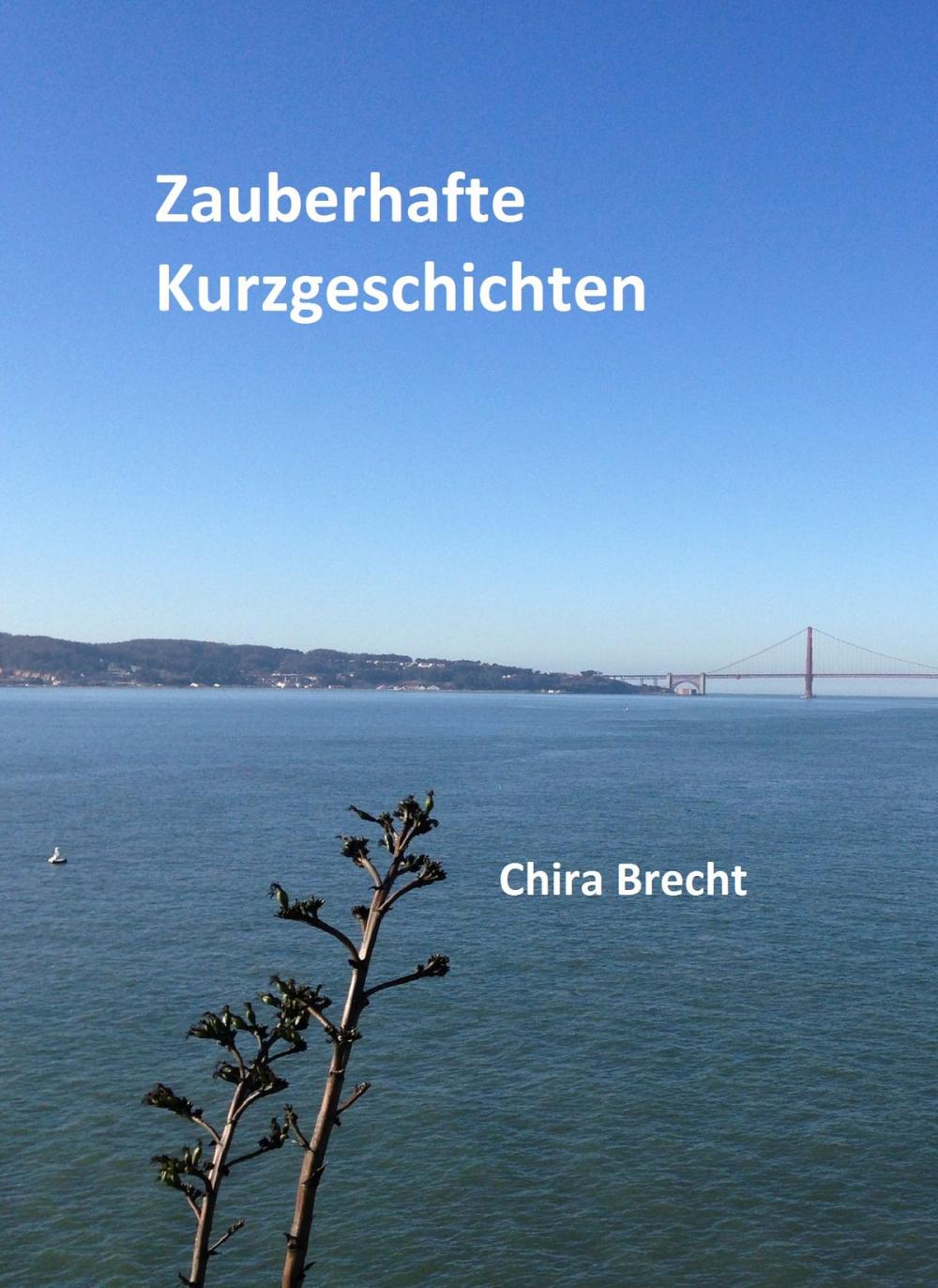 Big bigCover of Zauberhafte Kurzgeschichten