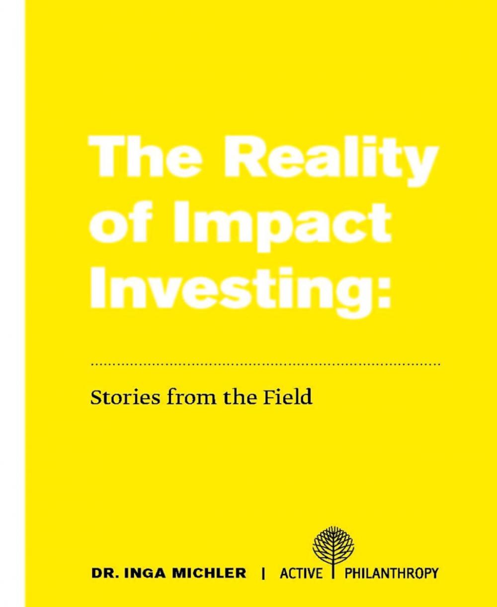 Big bigCover of The Reality of Impact Investing: Stories from the Field