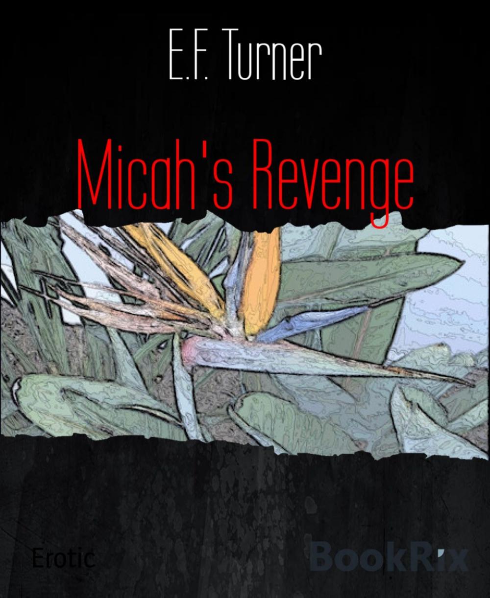 Big bigCover of Micah's Revenge