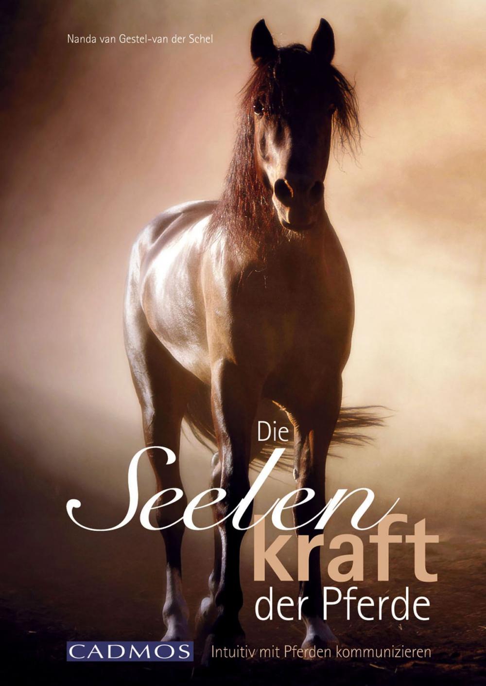 Big bigCover of Die Seelenkraft der Pferde