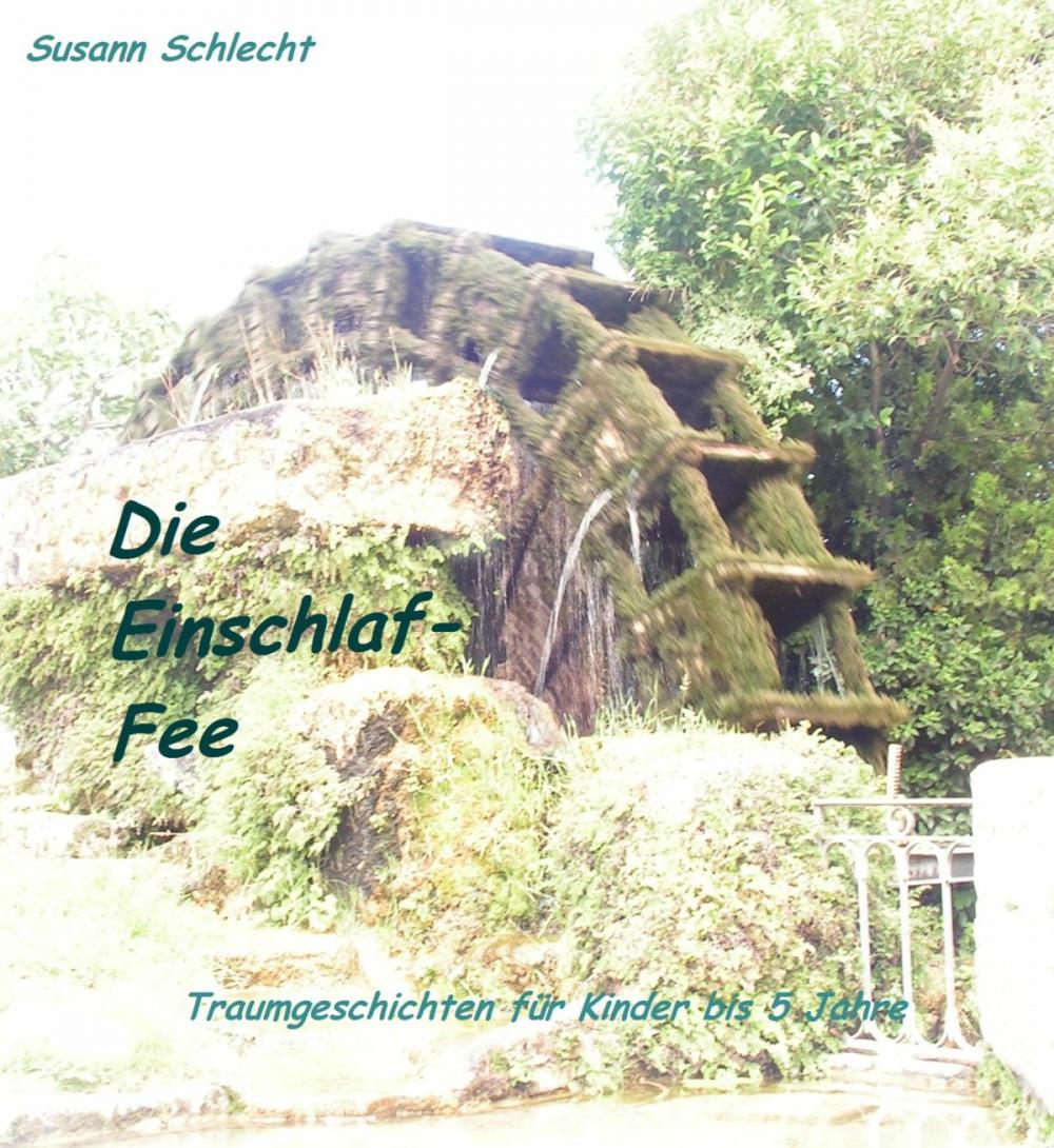 Big bigCover of Die Einschlaf-Fee