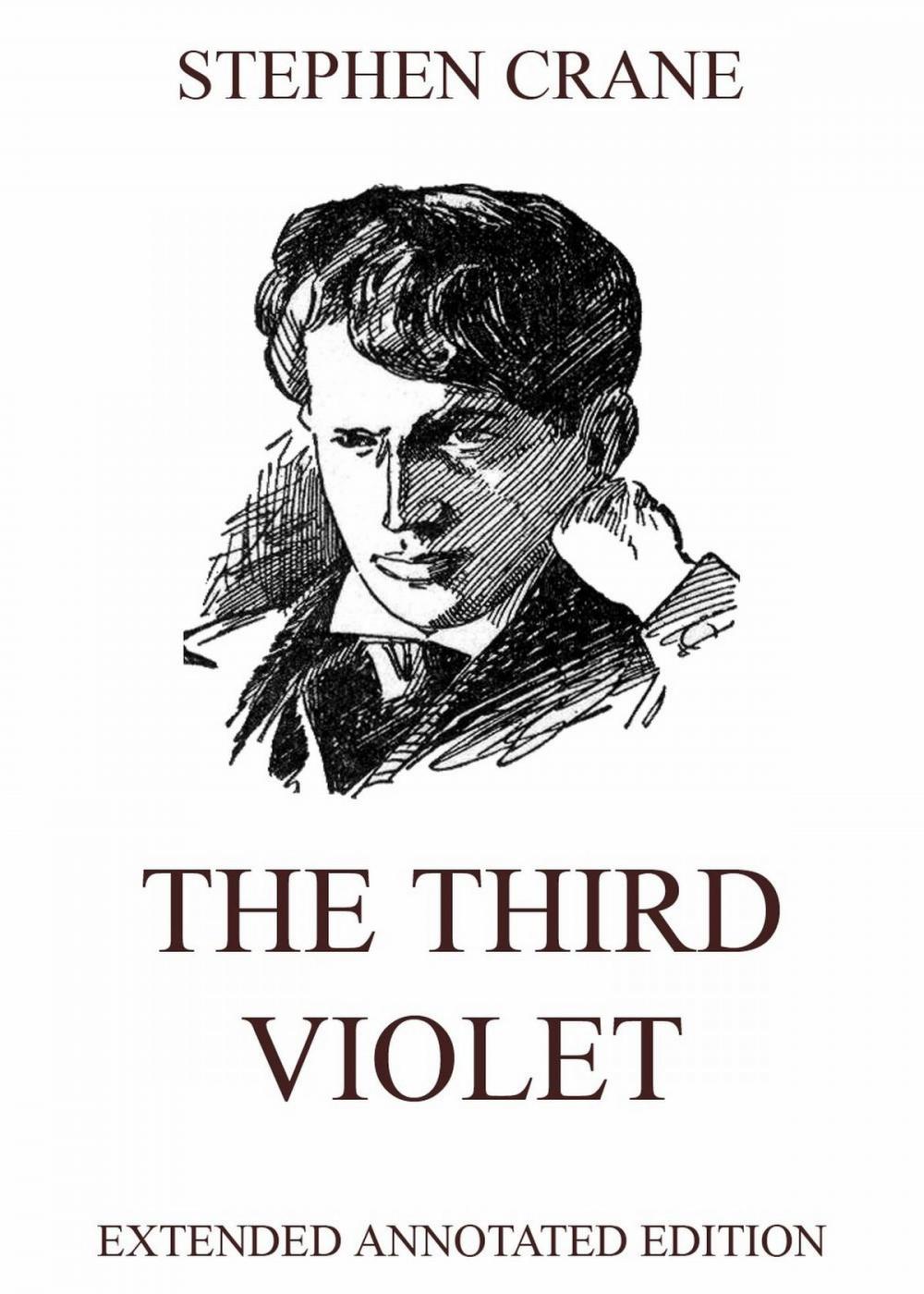 Big bigCover of The Third Violet