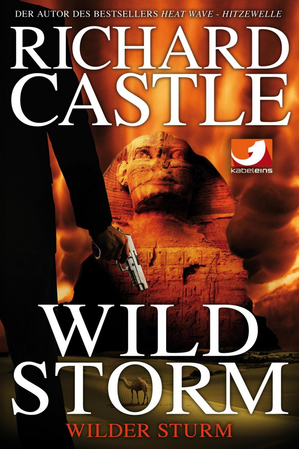 Big bigCover of Derrick Storm 2: Wild Storm - Wilder Sturm