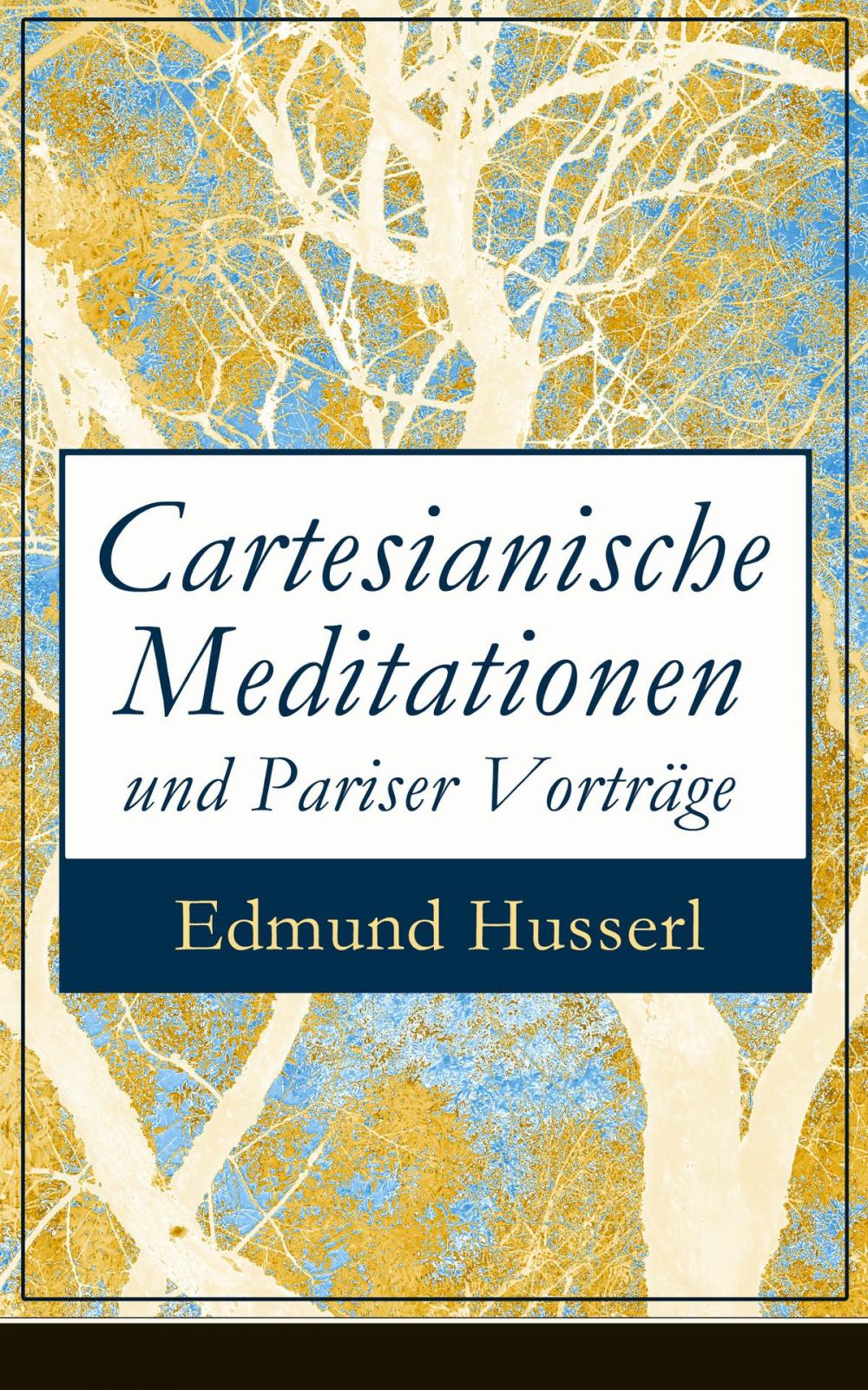 Big bigCover of Cartesianische Meditationen und Pariser Vorträge