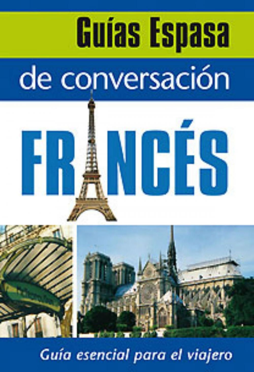 Big bigCover of Guía de conversación francés