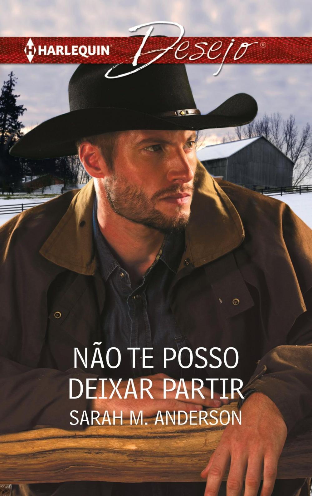 Big bigCover of Não te posso deixar partir