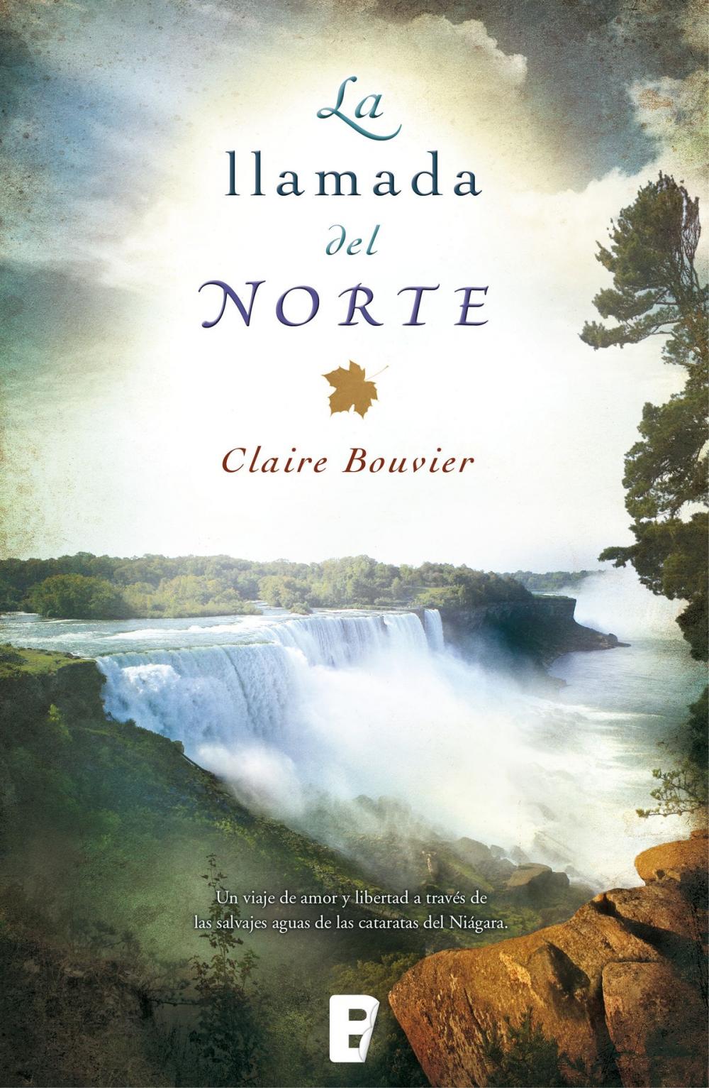 Big bigCover of La llamada del norte