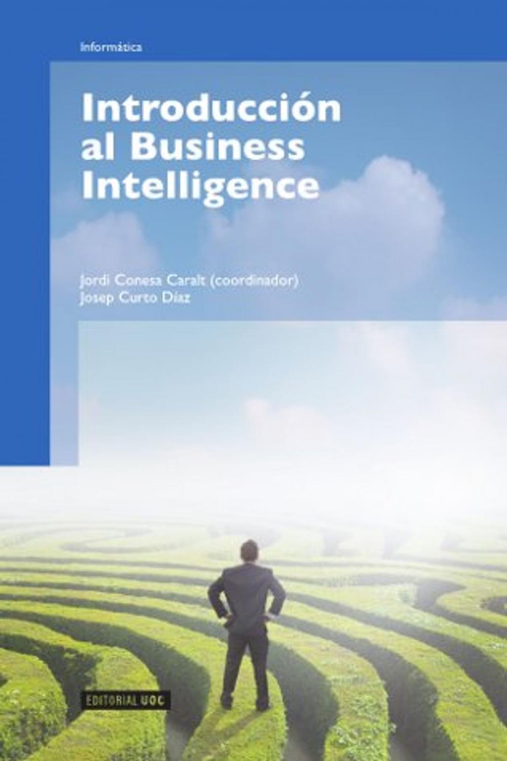 Big bigCover of Introducción al Business Intelligence