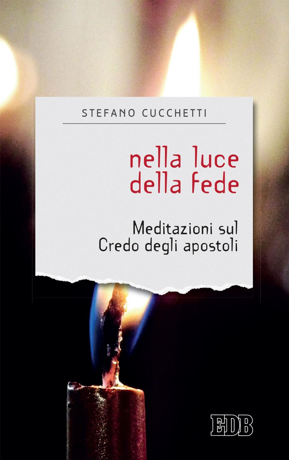 Big bigCover of Nella luce della fede