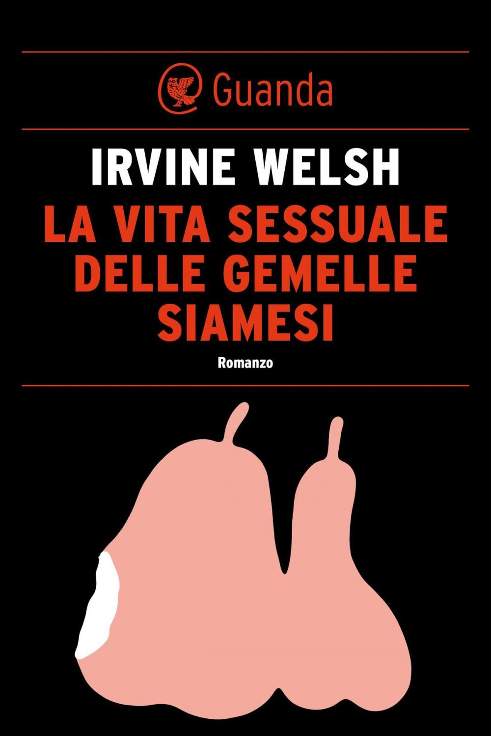 Big bigCover of La vita sessuale delle gemelle siamesi