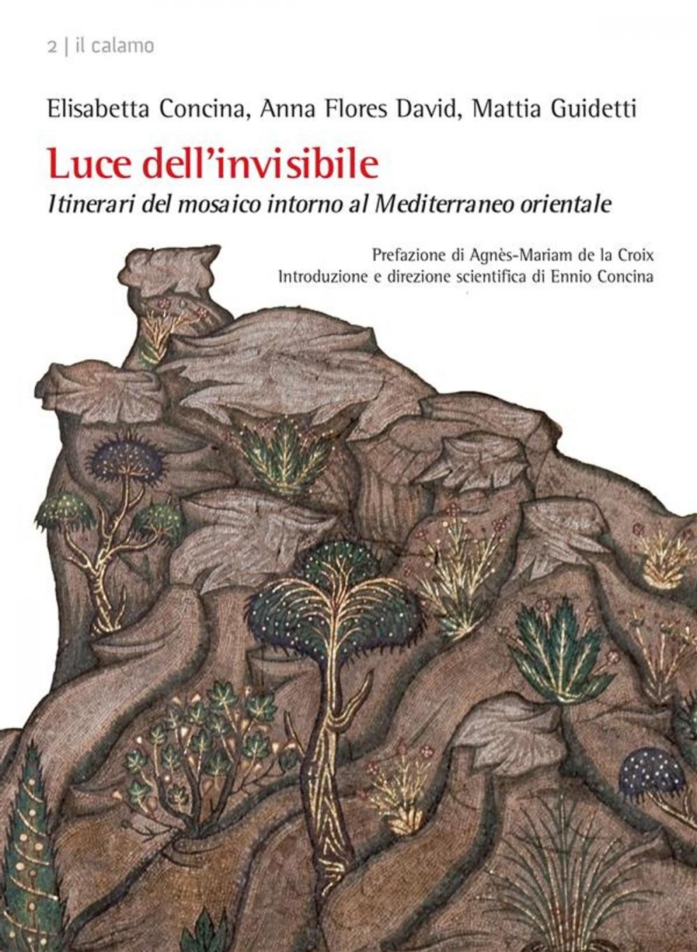 Big bigCover of Luce dell’invisibile