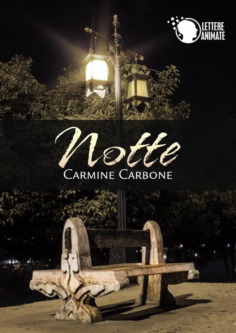 Big bigCover of Notte