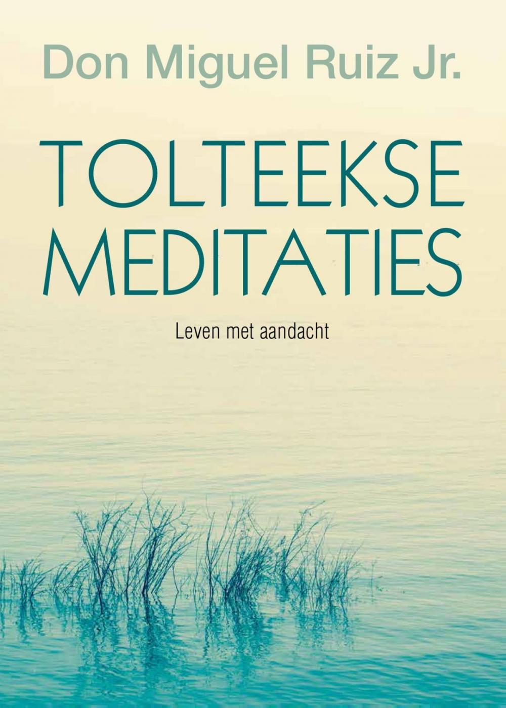 Big bigCover of Tolteekse meditaties