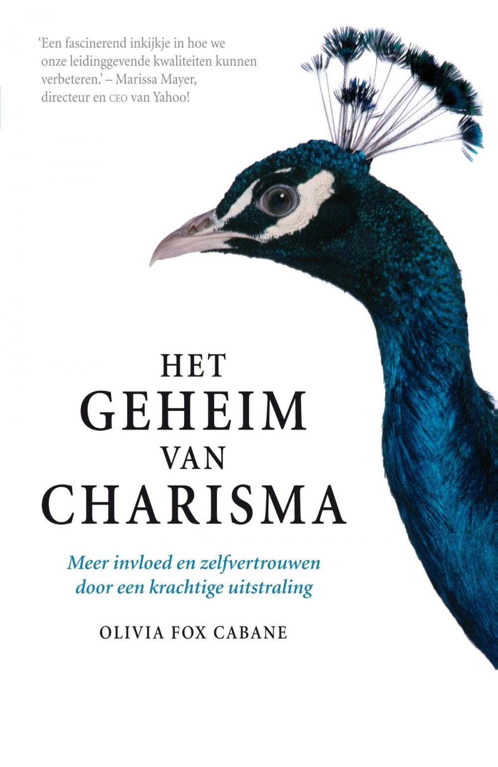 Big bigCover of Het geheim van charisma