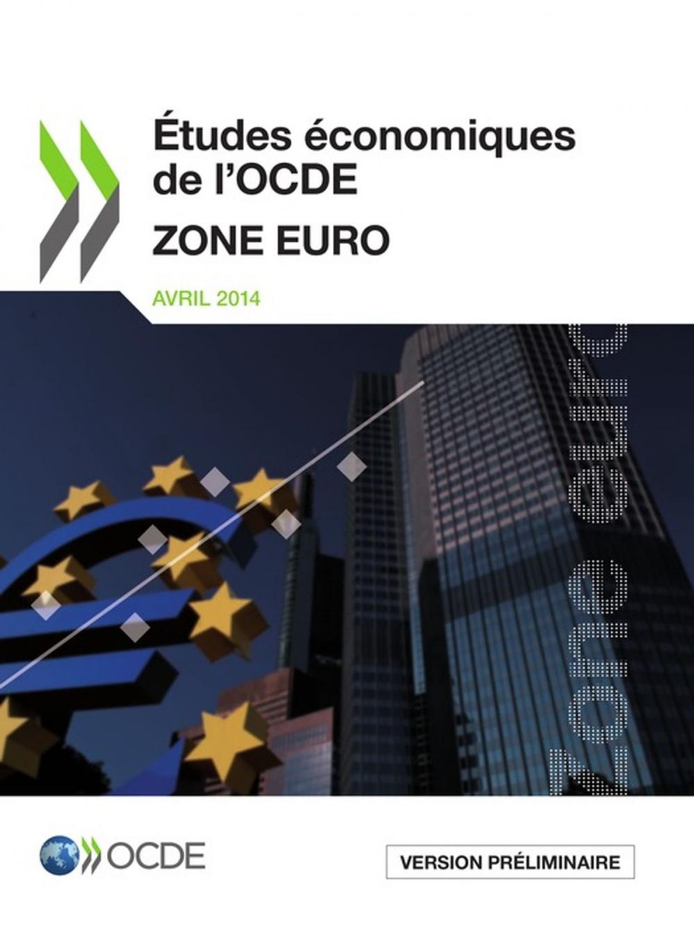Big bigCover of Études économiques de l'OCDE : Zone Euro 2014