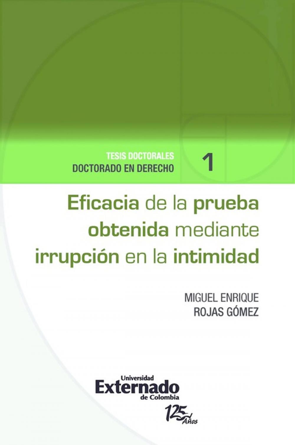 Big bigCover of Eficacia de la prueba obtenida mediante irrupción en la intimidad