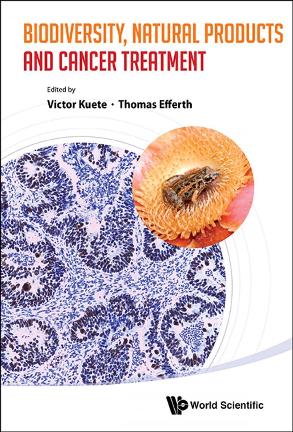 Big bigCover of Biodiversity, Natural Products and Cancer Treatment