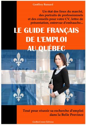 bigCover of the book Le Guide Français de l'Emploi au Québec by 