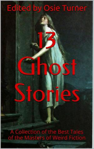 Cover of the book 13 Ghost Stories by Kira Shayde