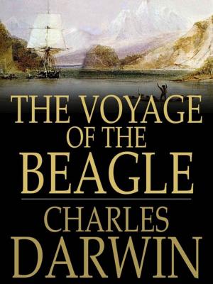 Cover of the book The Voyage of the Beagle by Elsie Lincoln Benedict, Ralph Paine Benedict