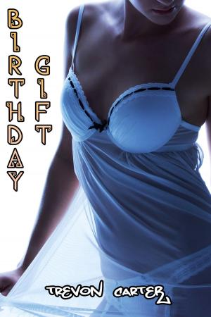 Cover of the book Birthday Gift by Joyce Barton