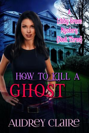 Cover of How to Kill a Ghost (Libby Grace Mystery Book 3)