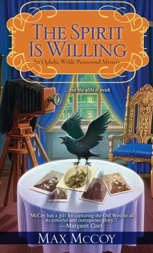 Cover of the book The Spirit is Willing by Gary Link