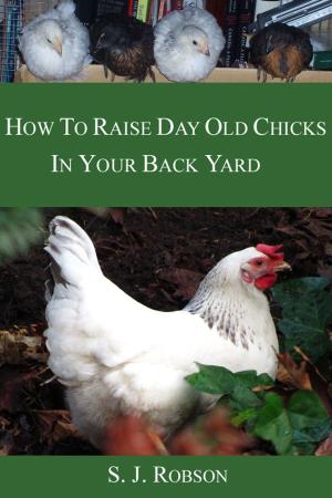 Cover of the book How to Raise Day-old Chicks in Your Back Yard by Fox Larson