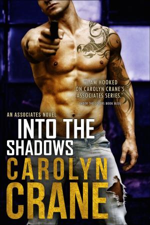 Cover of the book Into the Shadows by Viveca Benoir