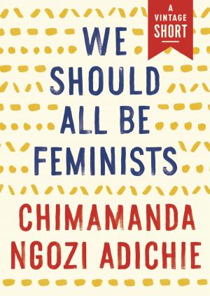 Cover of the book We Should All Be Feminists by Maya Jasanoff