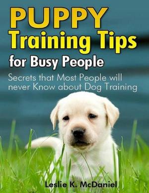 Cover of the book Puppy Training Tips for Busy People: Secrets That Most People Will Never Know About Dog Training by Ben Cowdell