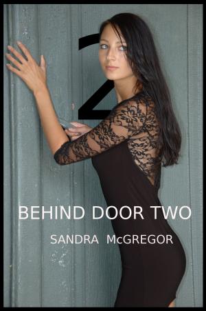 Cover of the book Behind Door Two by Shantel Williams