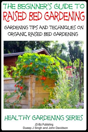 Book cover of A Beginner’s Guide to Raised Bed Gardening: Gardening Tips and Techniques on Organic Raised Bed Gardening