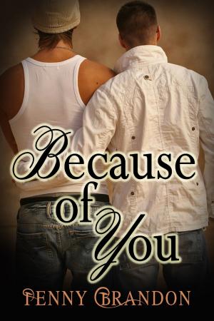 Cover of the book Because of You by Blayre Delecour
