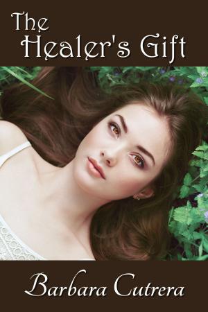 Cover of the book The Healer's Gift by Morgana Swift, Daniel Comerci (Illustrator)