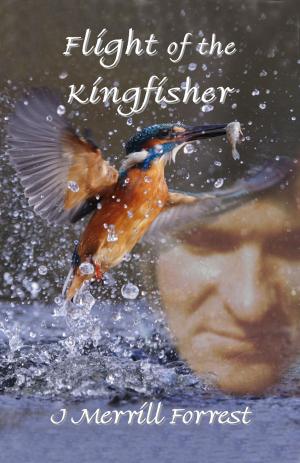 Cover of Flight of the Kingfisher