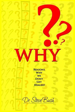Cover of the book Why by LeFemme LaShay, Nicholas Brown