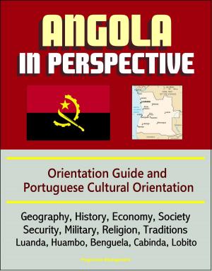 Cover of the book Angola in Perspective: Orientation Guide and Portuguese Cultural Orientation: Geography, History, Economy, Society, Security, Military, Religion, Traditions, Luanda, Huambo, Benguela, Cabinda, Lobito by Progressive Management
