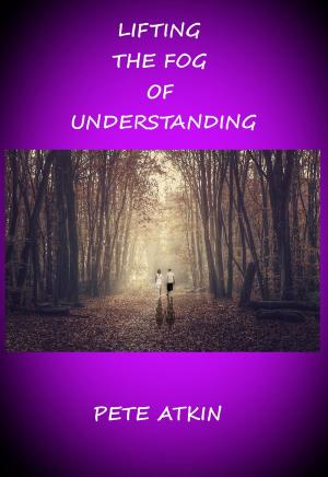Book cover of Lifting the Fog of Understanding