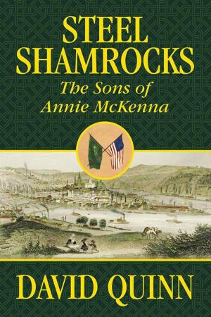 Cover of the book Steel Shamrocks by Charles Lobaito