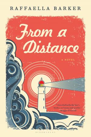 Cover of the book From a Distance by Mr Will Tidey