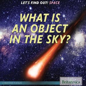 Cover of the book What Is an Object in the Sky? by Robert Curley