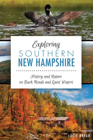 Cover of the book Exploring Southern New Hampshire by Aphrodite Matsakis Ph.D.